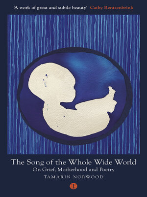cover image of The Song of the Whole Wide World